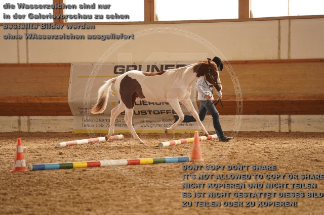 s_A_901183.JPG